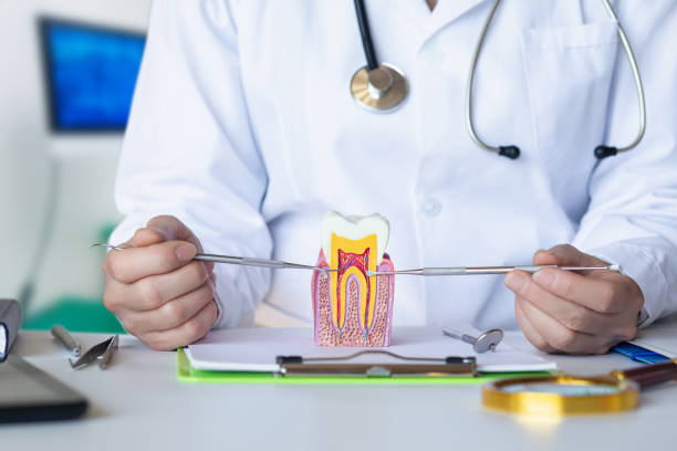 Best Emergency Root Canal Therapy in Hancock, MI